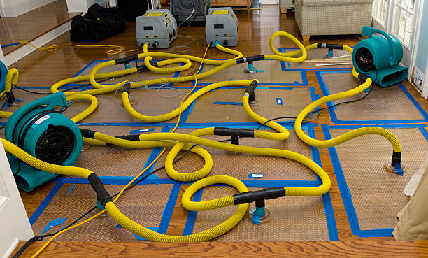 Professional Burst Pipe Water Damage technician working in Holladay, TN
